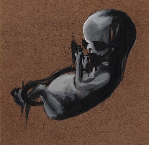 Fetus Print