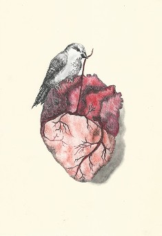 Sparrow Heart Print