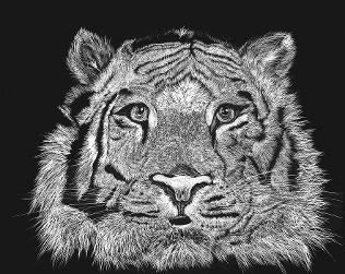 Ultsses Print